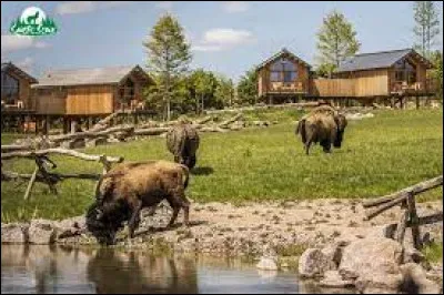 Pour finir, je vous emmène non pas au zoo d'Amnéville, mais au parc animalier de Sainte-Croix, à Rhodes. Nous serons dans le département ...