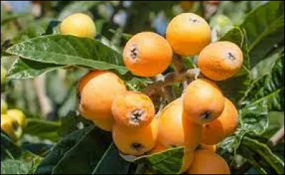 Comment se nomme ce fruit exotique ?