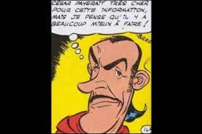 Quel animal accompagne le druide-espion Zérozérosix ?