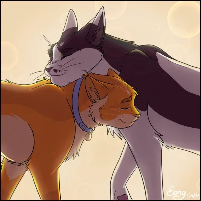 Quelle est la couleur du collier du chat roux ?