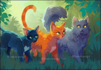 Quelle est la couleur du chat au milieu ?