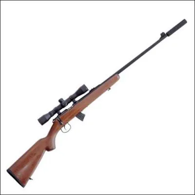 Quelle est cette arme ?