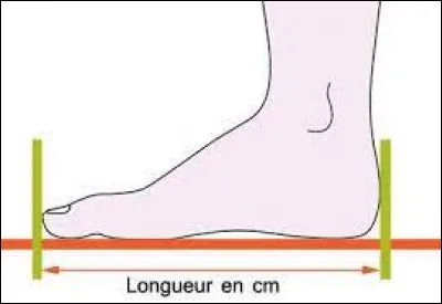 En France, si votre pied mesure 25 cm, quelle est votre pointure ?