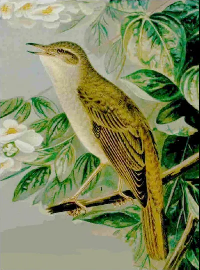 Quel écrivain a reçu, en 1989, le prix de l'Aventure, pour Marie des brebis ?