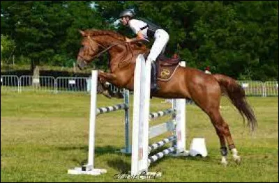 Pour sauter un obstacle, je me mets...