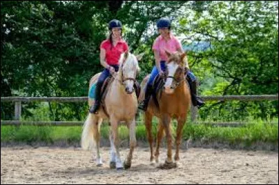 Quelle aide est artificielle ?