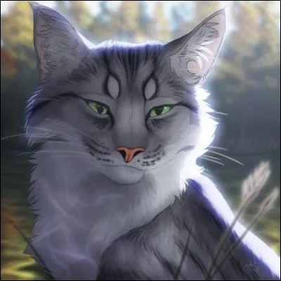 Quel est ton défaut ?