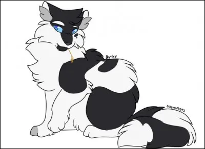 Si tu étais un guerrier, par quoi commencerait ton nom ?