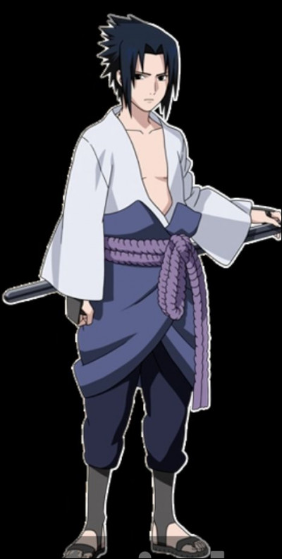 Ce Sasuke, est-il dans Naruto ou dans Naruto Shippuden ?