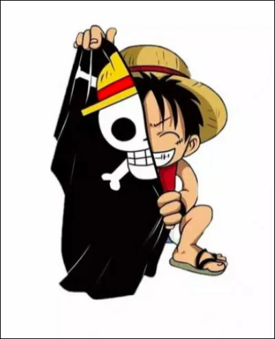 Quel membre de l'équipage de Luffy voudrais-tu être parmi eux ?
