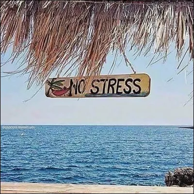 Anti-stress : le fait de regarder certains animaux évoluer est réputé pour être un anti-stress. Quels sont ces animaux ?