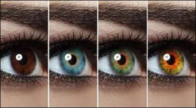 De quelle couleur sont tes yeux ?