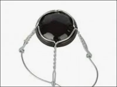 Comment s'appelle ce bout de fer qui retient le bouchon de champagne ?