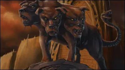 Quelle est sa fonction ?