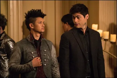 Quel sentiment éprouve Magnus dès qu'il voit Alec pour la première fois ?