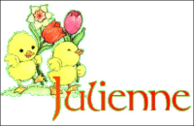 Pour qu'ils soient "en julienne" de quelle façon taillerez-vous certains légumes ?