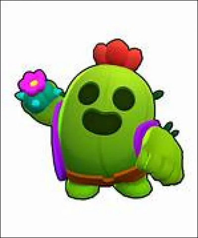 Qui est ce Brawler ?