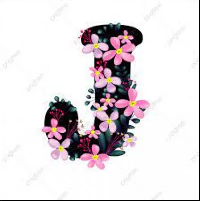 Jolly Jumper : quel est son jeu favori ?