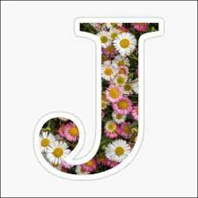 Jurançon : quel est ce vin ?