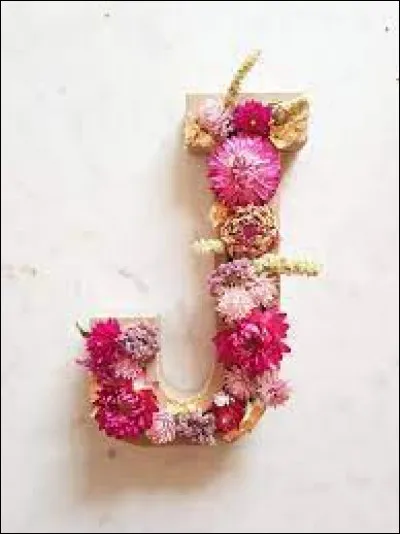 Jakarta : de quel pays est-ce la capitale ?