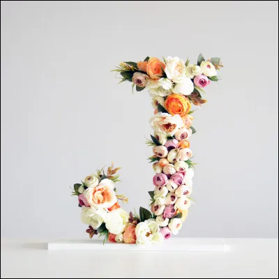 Jorasses : quel est le point culminant des Grandes Jorasses ?