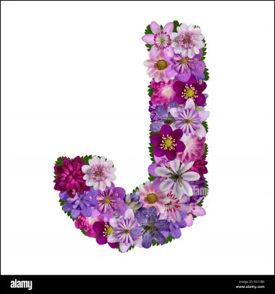 Janvier : dans quelles aventures policières rencontre-t-on l'inspecteur Janvier" ?