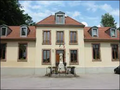 Nous terminons notre balade dans le Grand-Est, à Vienville. Village de l'agglomération Déodatienne, il se situe dans le département ...