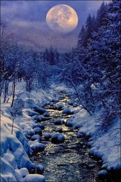 Quel pays reconna&icirc;t l'existence de l'URSS en f&eacute;vrier 1924 ?