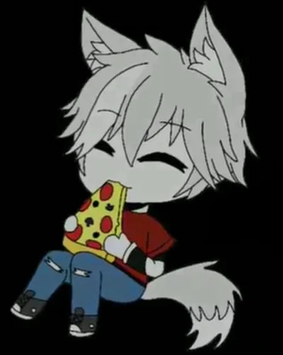 Combien de muscles y a-t-il dans un chat ?