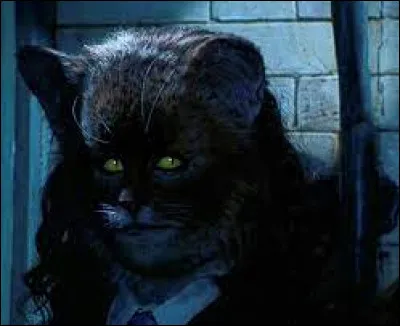 Dans HP 2 qui donne une lettre à Hermione de bon rétablissement, après s'être transformé(s) en chat ?