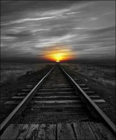 Qui chantait "Je voulais juste un peu parler, choisir un train, la vie ne m'apprend rien" ?