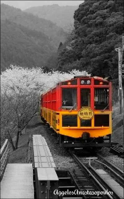 Qui est l'auteur du roman "Le Train" qui a inspiré le film éponyme de Pierre Granier-Deferre ?