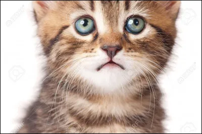 Qui sont les enfants de Pelage de Cr&eacute;puscule ?