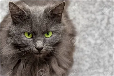 Qui sont les enfants m&acirc;les d'Ardoise ?