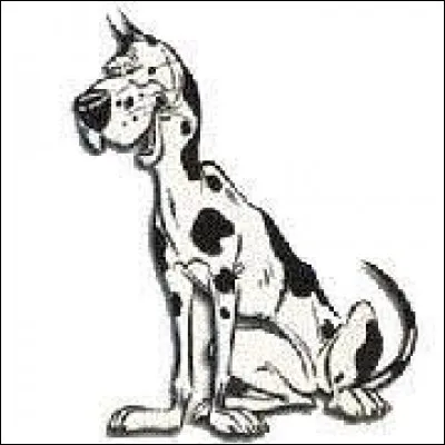 Quel est le nom de ce chien ?