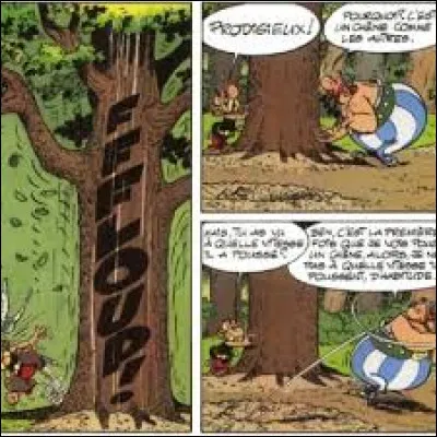 Que doivent jeter Astérix et Obélix pour faire pousser rapidement un chêne ?