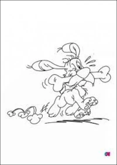 Quelles parties du corps d'Idéfix sont noires (en dehors de la truffe) ?