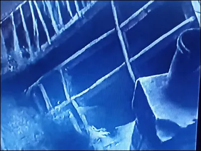 Cette histoire a été inspirée du livre de :