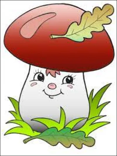 Chassez l'intrus parmi ces bons champignons comestibles !