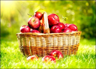 Triez les pommes et chassez l'intruse !