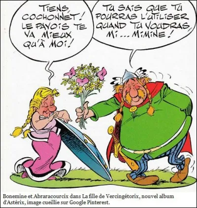 Supprimez l'intruse chez les femmes qui côtoient les irréductibles Gaulois, dans les albums d'Astérix !