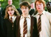 Test Qui es-tu dans le Golden Trio ?