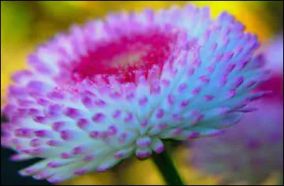 Y a-t-il une couleur primaire dans ce paysage ?