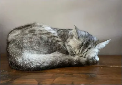 Qui fut le mentor d'�il Vif ?