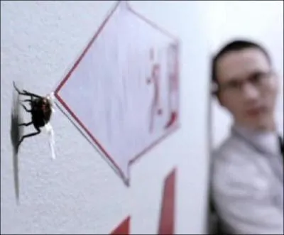 Premire preuve : Avec quoi Pusit doit-il tuer la mouche ?