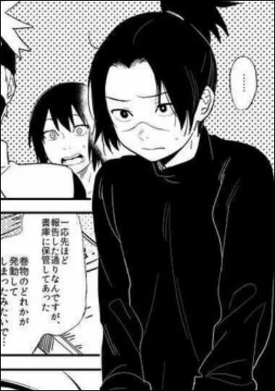 Quelle médaille n'existe pas pour noter les quiz et tests ?