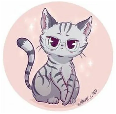 Quelle bêtise votre chat a-t-il faite ?