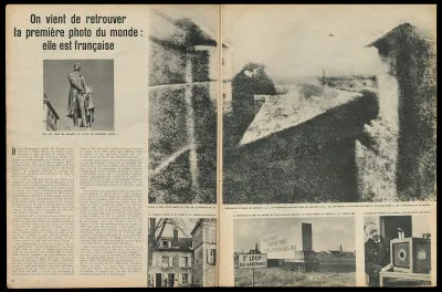 Le petit oiseau est enfin sorti !