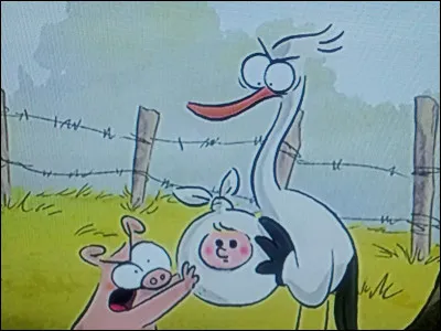 Quel est le nom du bébé ?