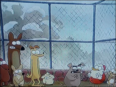 Quel est le titre du premier conte ?